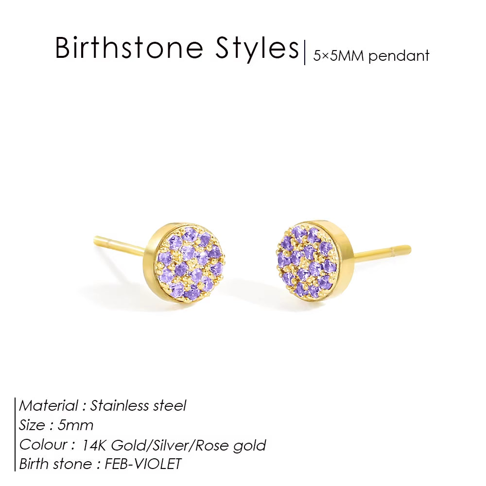 Emanco New Birthstone Pierced Earrings Zirconia Earrings Stainless Steel Jewelry Birthday Gift