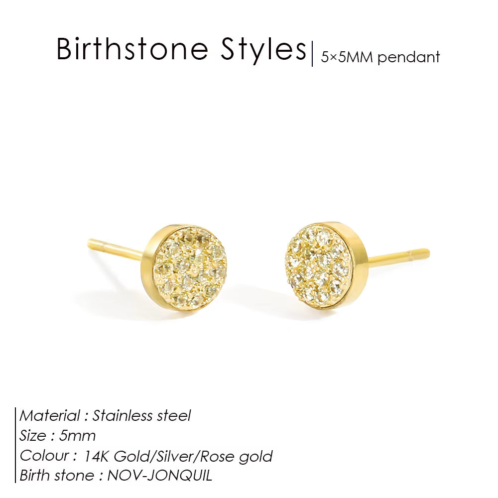 Emanco New Birthstone Pierced Earrings Zirconia Earrings Stainless Steel Jewelry Birthday Gift