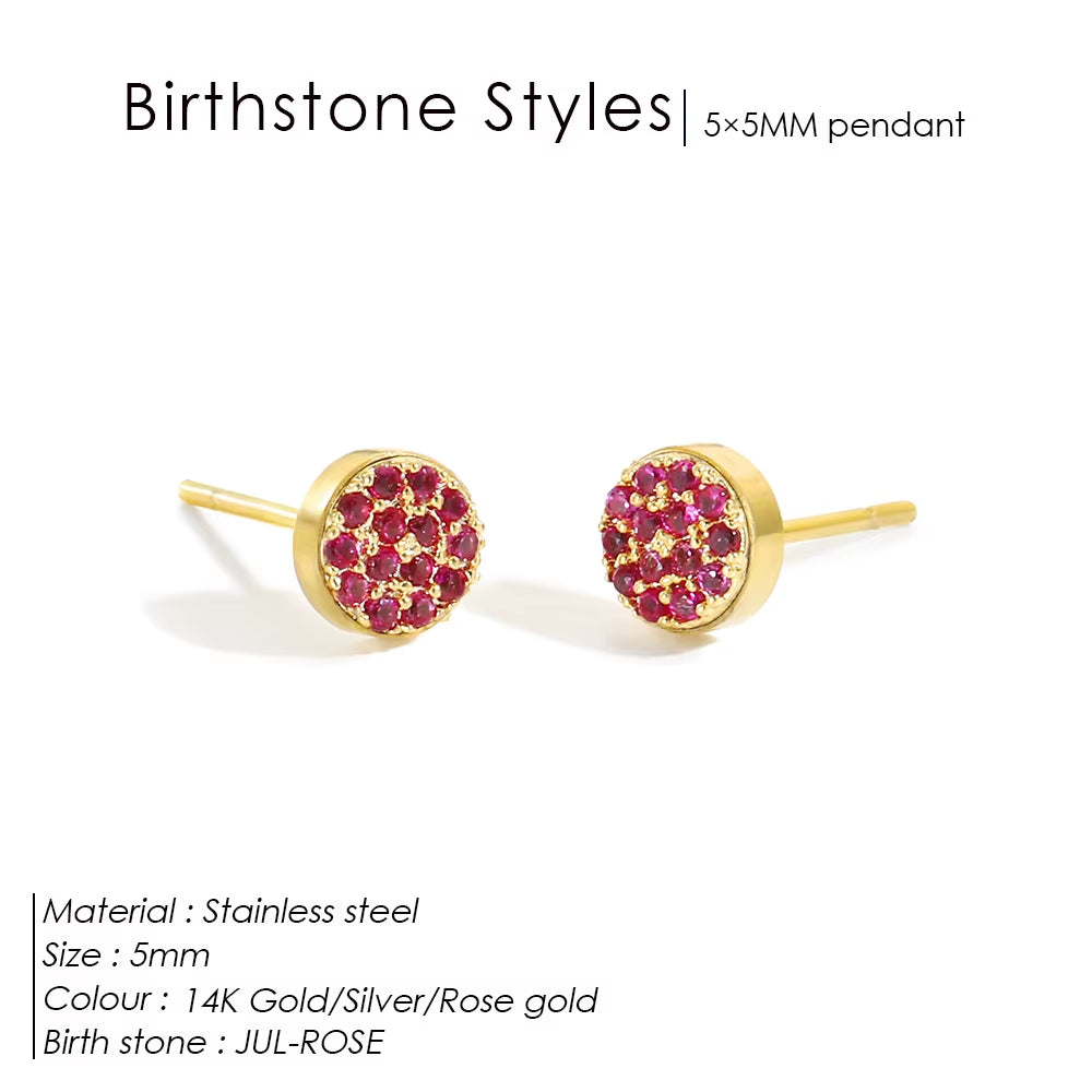 Emanco New Birthstone Pierced Earrings Zirconia Earrings Stainless Steel Jewelry Birthday Gift