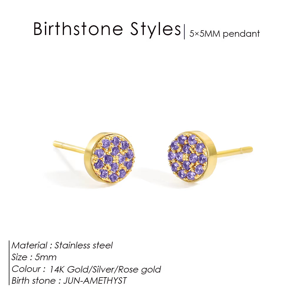 Emanco New Birthstone Pierced Earrings Zirconia Earrings Stainless Steel Jewelry Birthday Gift